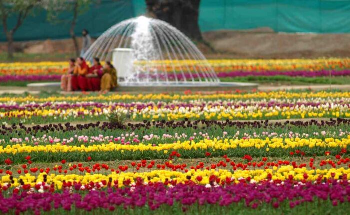 Best Travel agent in Kashmir