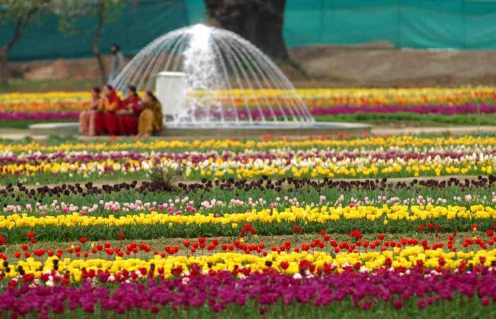 Best Travel agent in Kashmir